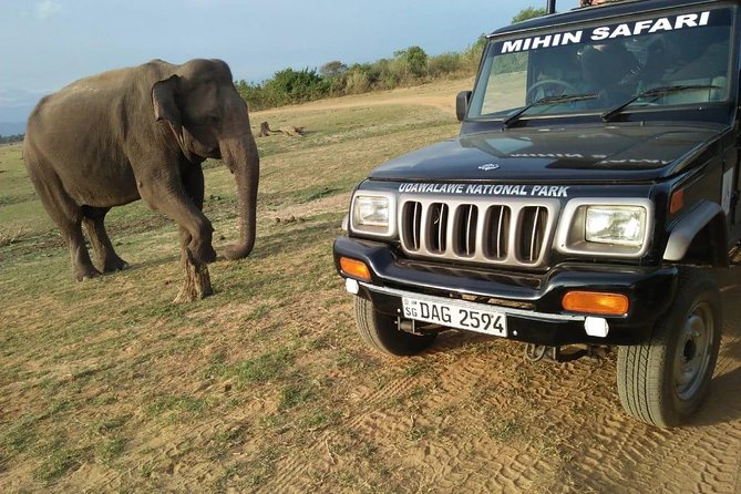 Udawalawe National Park Safari | From Ella - Tour Inclusions