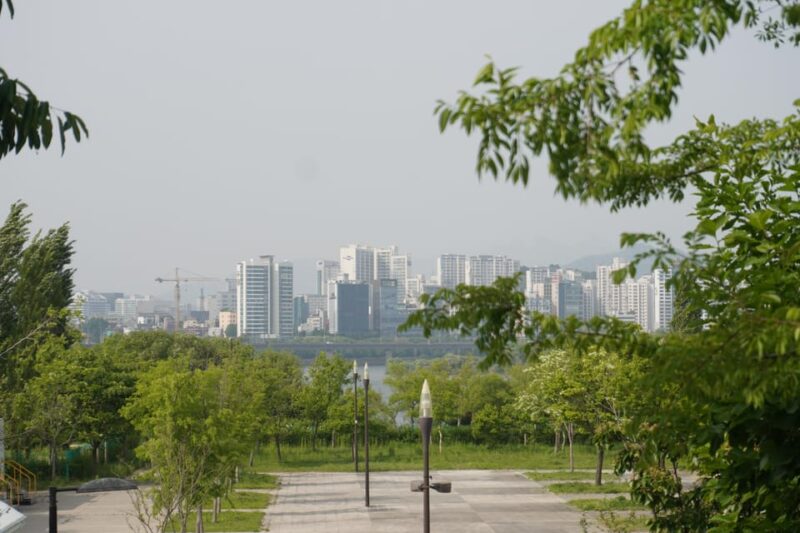 Unique Native Experience : Han River Picnic, Board Game, BBQ - Activities Included