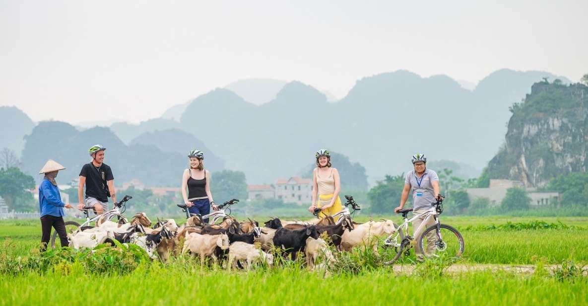 Unique Trip to Bai Dinh Pagoda- Van Long or Thien Ha Grotto - Itinerary Highlights