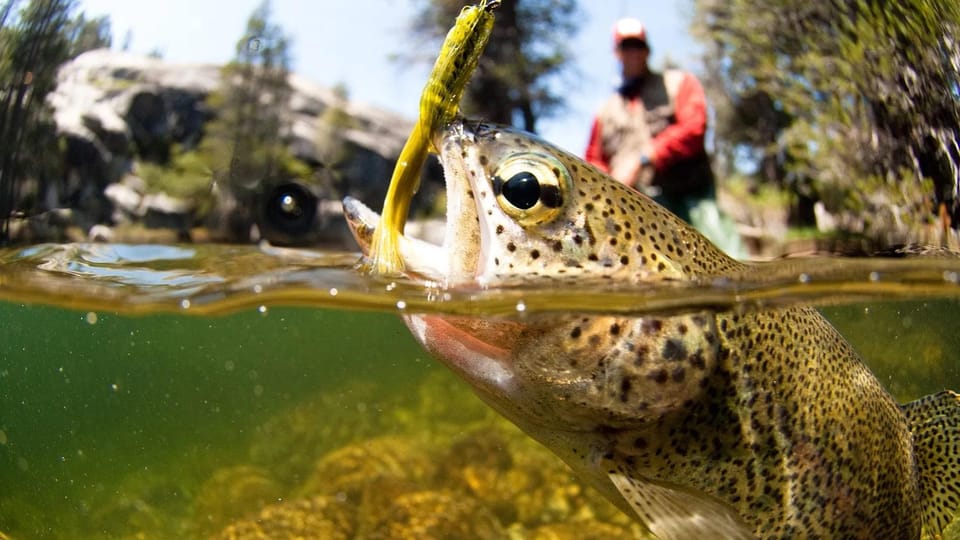 Upper Colorado River Guided Fly Fishing Trip - Cancellation Policy Details