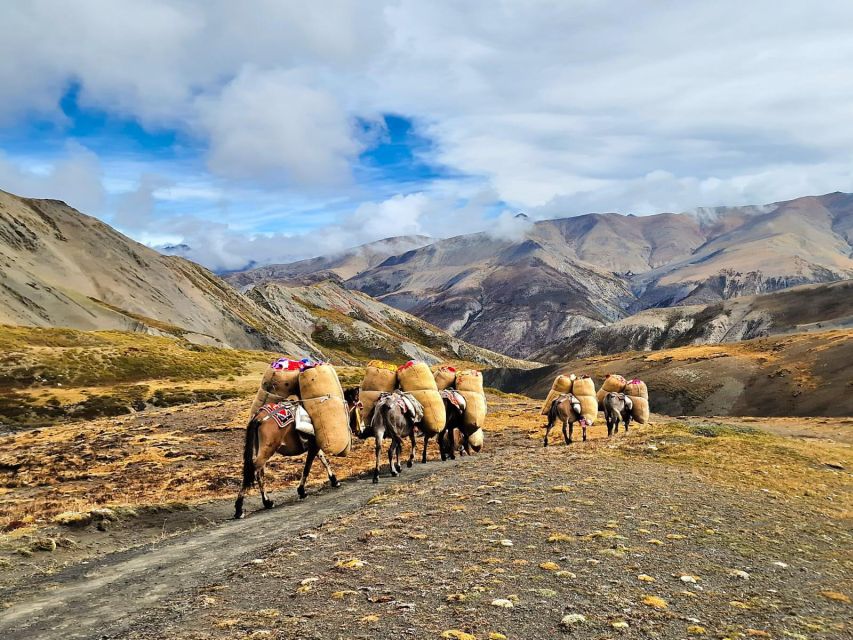 Upper Dolpo Trek - 24 Days - Accommodation Options