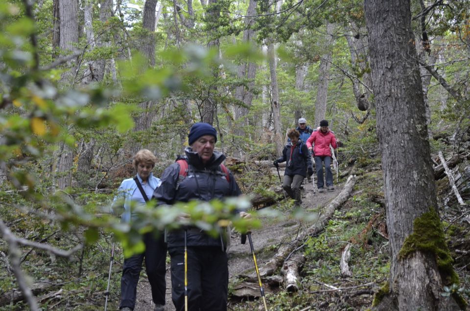 Ushuaia: Tierra Del Fuego Trekking and Canoeing - Experience Highlights