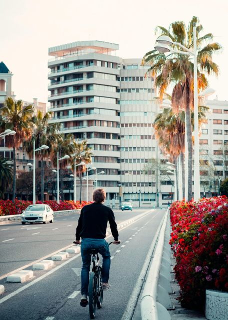 Valencia: Bike Tour: From the City Center to Maritim Towns - Itinerary Highlights