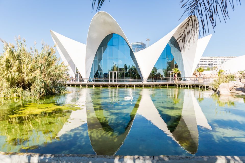 Valencia: Oceanografic, Hemisferic & Science Museum Combos - Attractions Overview