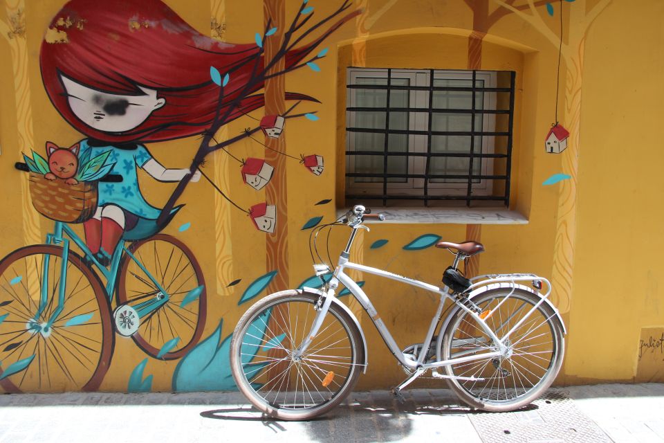 Valencia: Street Art Tour on Bicycle, E-Bike or E-Step - Highlights of the Tour