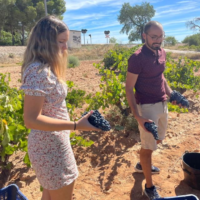 Valencia: Utiel-Requena Cave & Winery Day Trip With Tasting - Itinerary and Activities