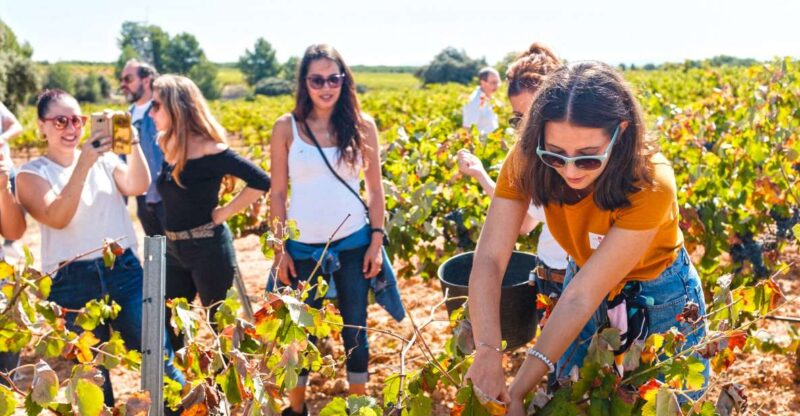 Valencia: Winery Visit With Vineyard Tour & Wine Tasting - Duration and Languages