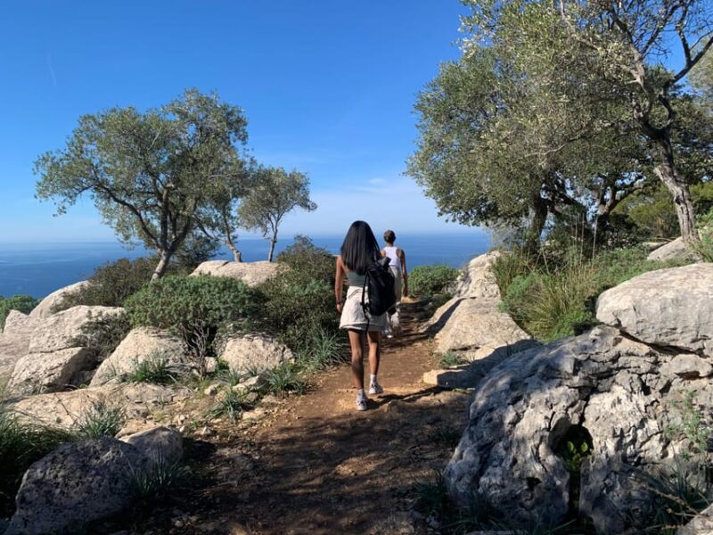 Valldemossa: Town and the Most Beautiful Viewpoints - Four Breathtaking Mediterranean Viewpoints