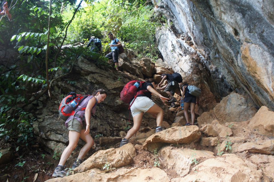 Vang Vieng: Jungle & Caves Full-Day Private Trekking Tour - Itinerary Highlights