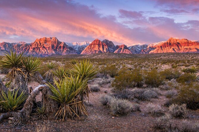 Vegas Strip and Red Rock Canyon Guided Trike or Slingshot Tour - Inclusions and Requirements