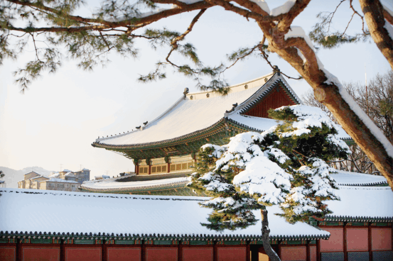 Vegetarian / Halal Seoul City Walking Tour - Duration and Price