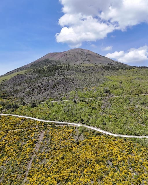 Vesuvio Bike Tour: Summit Ride, Ticket & Tasting Experience - Itinerary Details