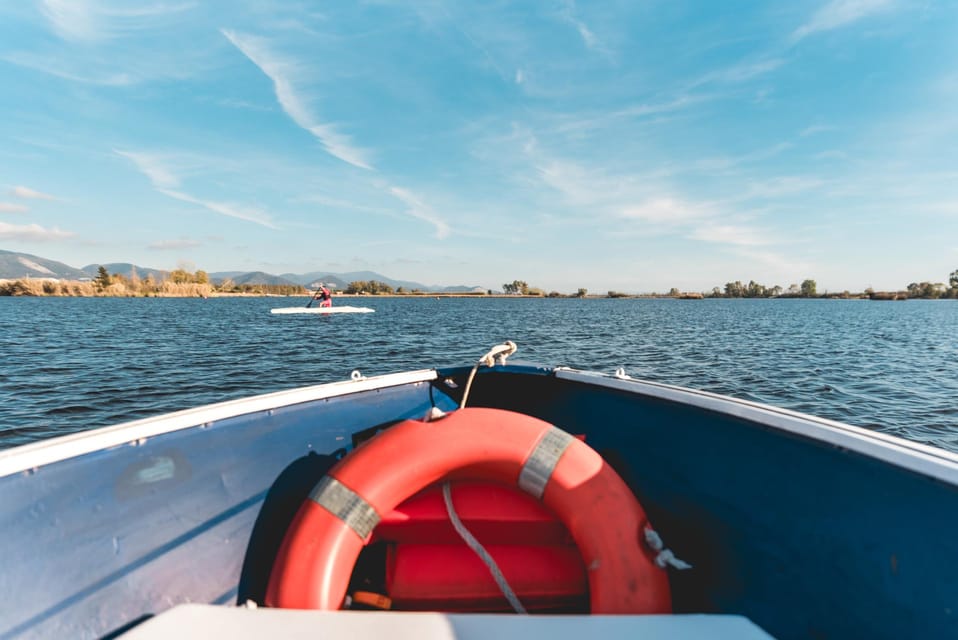 Viareggio: Marshes Electric Boat Tour With Wine Tasting - Highlights of the Experience