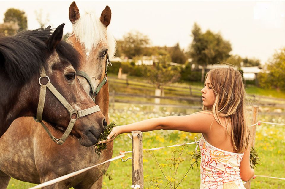 Vienna 1- or 2-Hour Professional Photo Shoot - Pricing Details