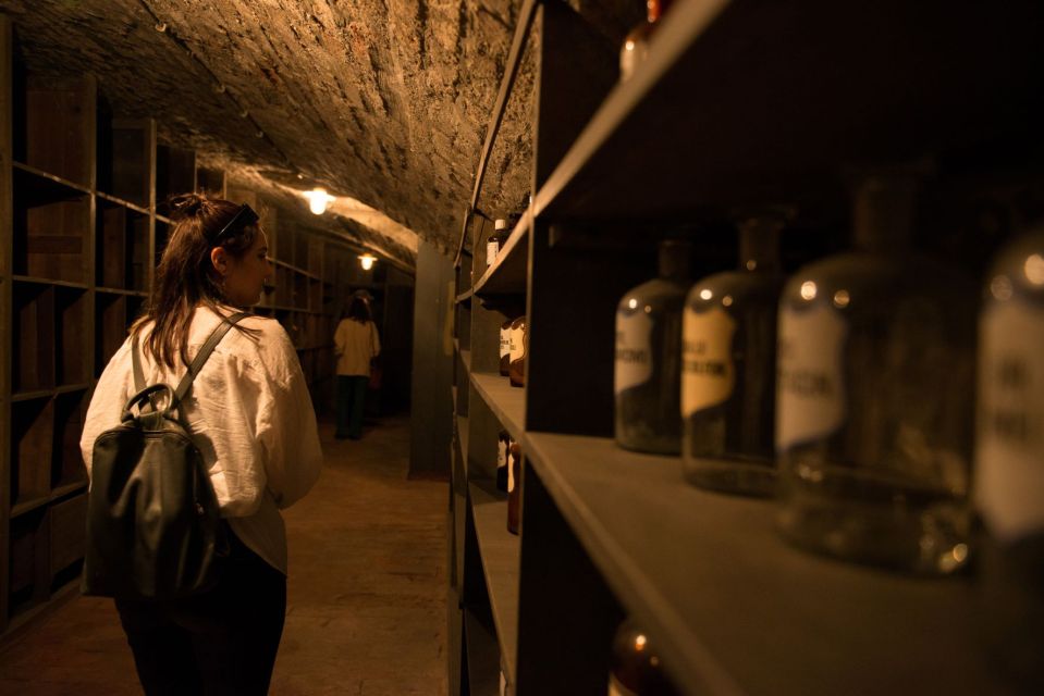 Vienna: Historical Pharmacy Cellar Guided Tour - Highlights of the Experience