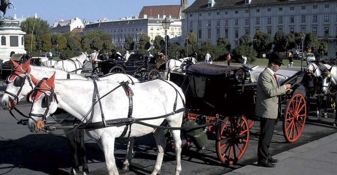 Vienna: Mozart Concert With Dinner and Carriage Ride - Itinerary Details