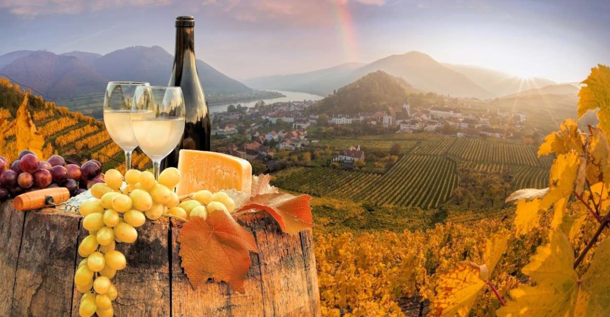 Vienna: Winery and Wine Tasting Tour With a Wine Expert - Experience Highlights