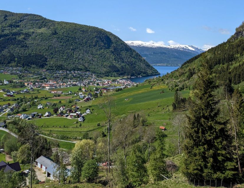 Vik I Sogn: Authentic Farm Visit - Interacting With Farm Animals