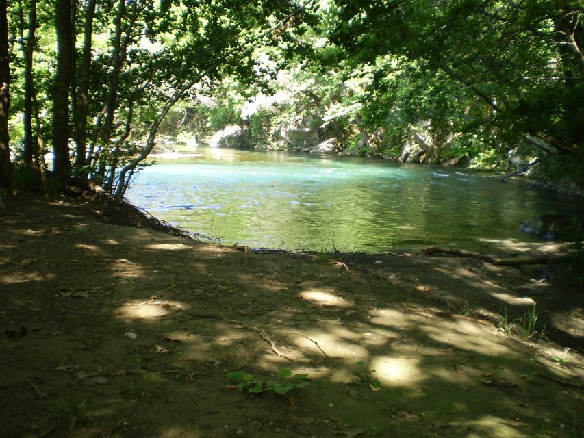 Vikos Gorge Aristi to Klidonia Bridge 3-Hour Hike - Activity Highlights