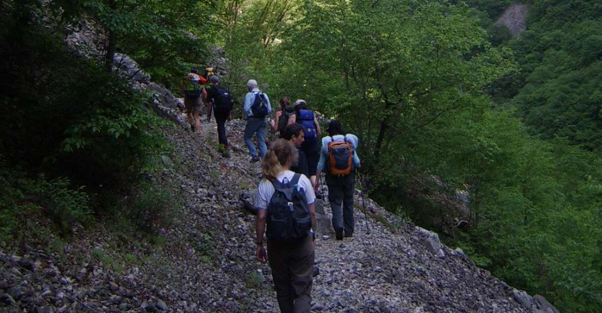 Vikos Gorge Full-Day Guided Hike - Experience Highlights