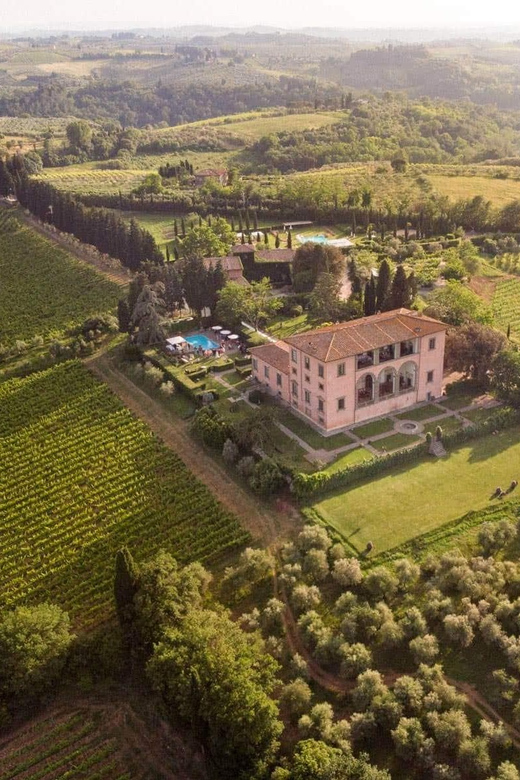 Villa Mangiacane: Wine Tasting With Florence View - Experience Highlights
