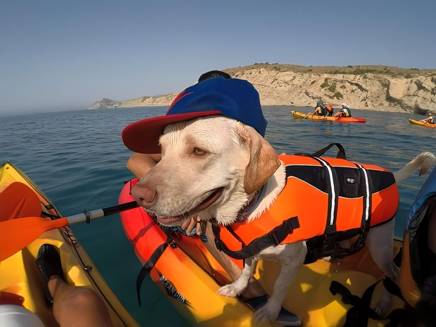 Villajoyosa: Kayaking With the Mans Best Friend, Your Dog - Exploring the Scenic Coastline