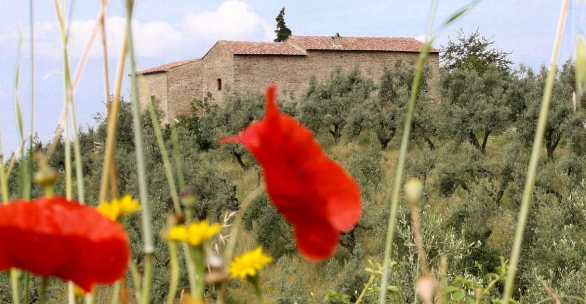 Vinci: Entrance to the Leonardos Birthplace - Experience Highlights