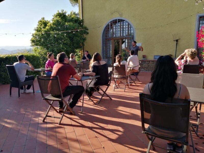 Vinci: Homemade Dinner and Oil Tasting Tour in a Tuscan Farm - Experience Highlights