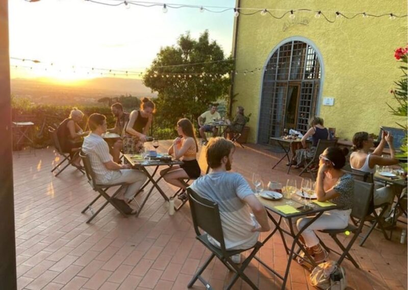 Vinci: Wine Tasting & Local Tuscan Food Dinner - Culinary Highlights