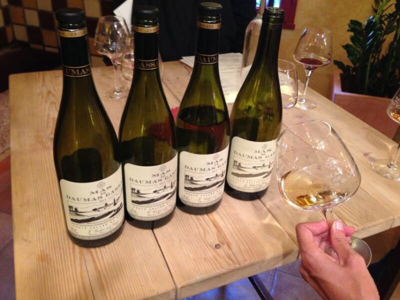 Vineyards and Village of the Languedoc - Unique Features of Local Vineyards
