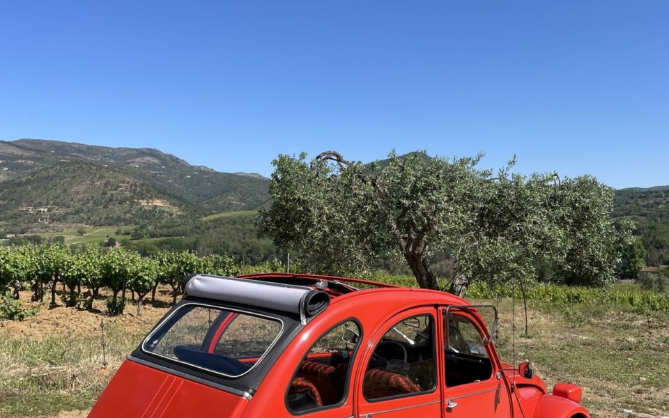 Vintage Wine Tour in Saint-Tropez - Itinerary Highlights