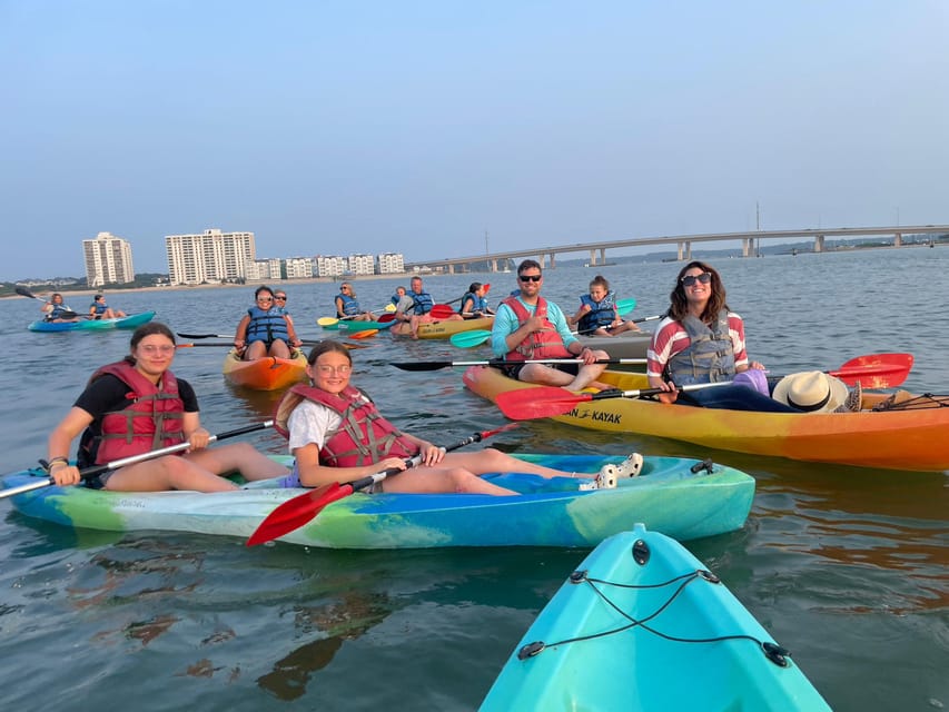 Virginia Beach: Dolphin Watching Guided Kayaking Tour - Experience Highlights