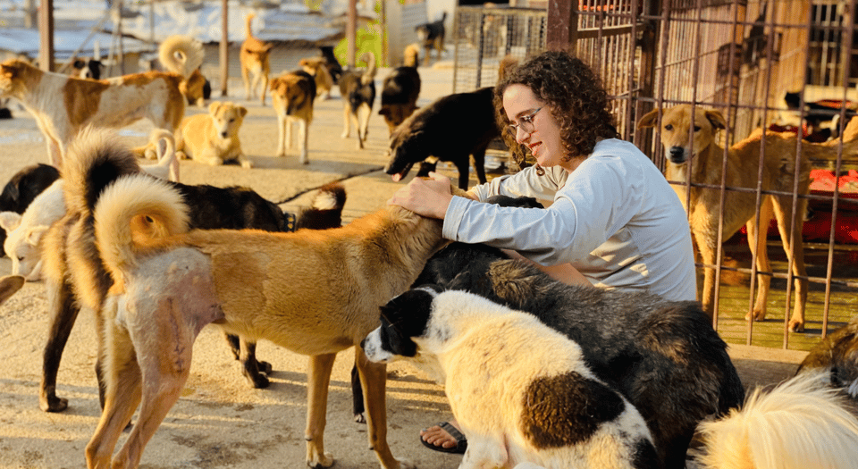 Visit Our Non-Profit Animal Sanctuary in Kathmandu! - Pricing Information