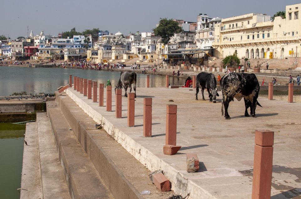 Visit Pushkar From Jaipur With Jodhpur Drop Without Guide - Must-See Attractions in Pushkar