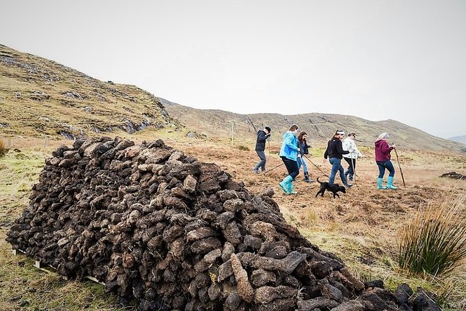 Visit Traditional Working Sheep Farm & Sheepdog Demo. Galway. Guided. 1 ½ Hours. - Activities Included