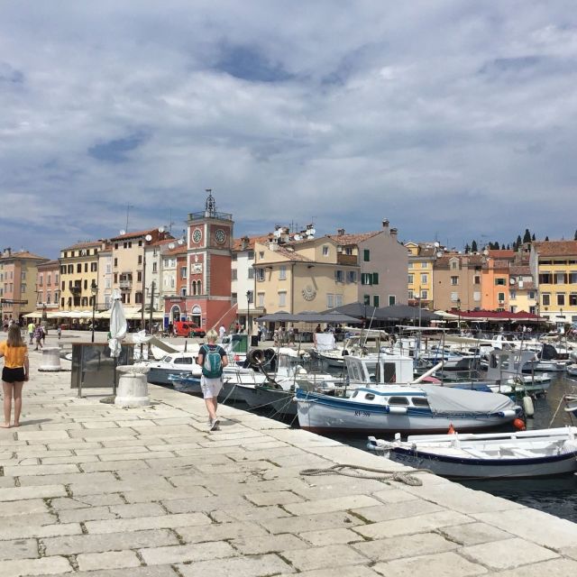 Vrsar: Lim Fjord - Rovinj Fish Picnic - Highlights of the Experience