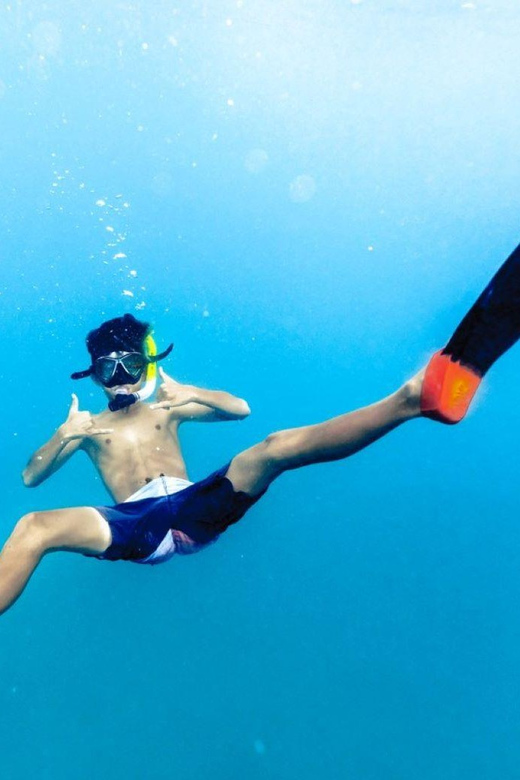 Waikiki: Midday Snorkel - Itinerary Breakdown