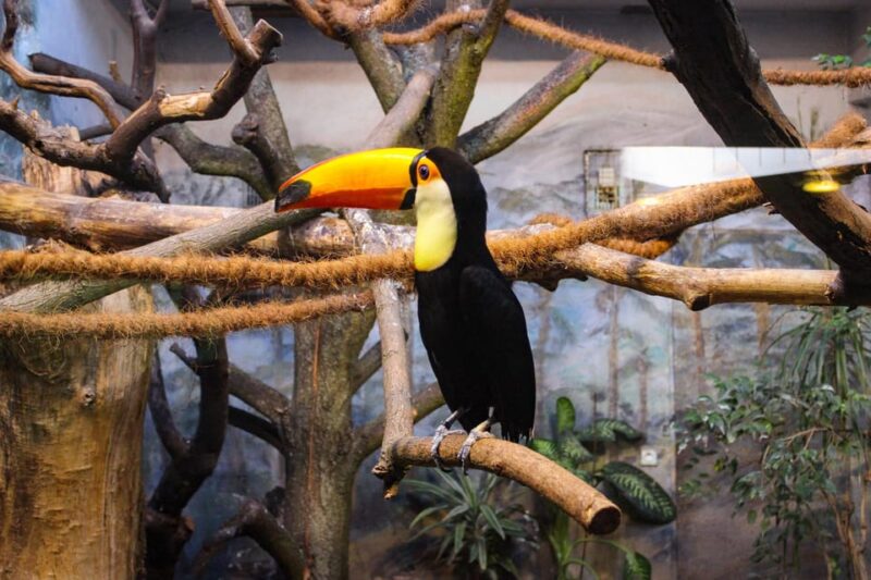 Warsaw Zoo Park With Private Transport - Private Transport Details