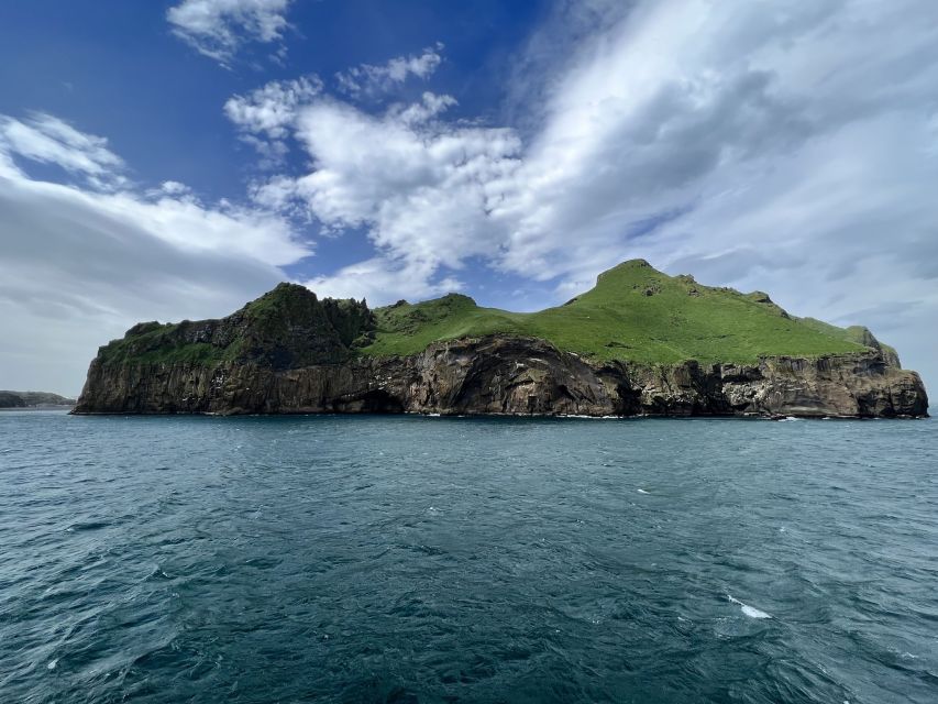 Westman Islands Private Tour - Travel to Westman Islands