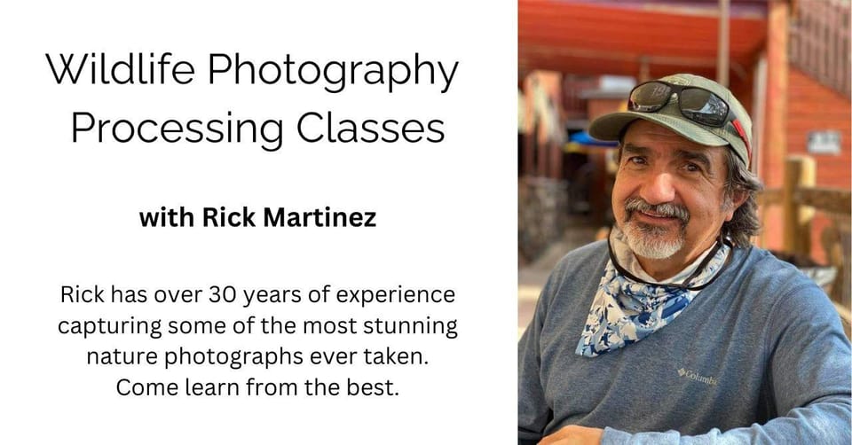 Wildlife Photography Processing Class - Instructor Background