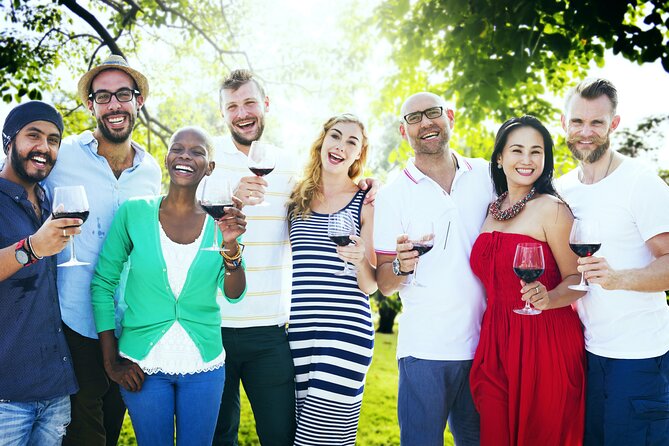 Wine Lovers - Enjoy a Gourmet Lunch in the Countryside! - Vineyard Visit and Wine Tasting