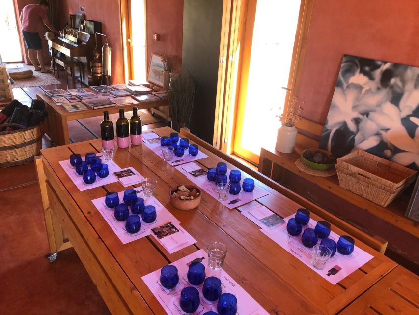 Wine & Olive Oil Tasting in an Organic Farm Laconia, Greece - Experience Highlights