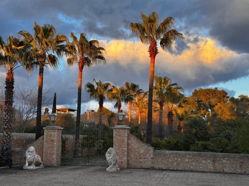 Wine Sunday in Mallorca - Indulgent Picnic Offerings