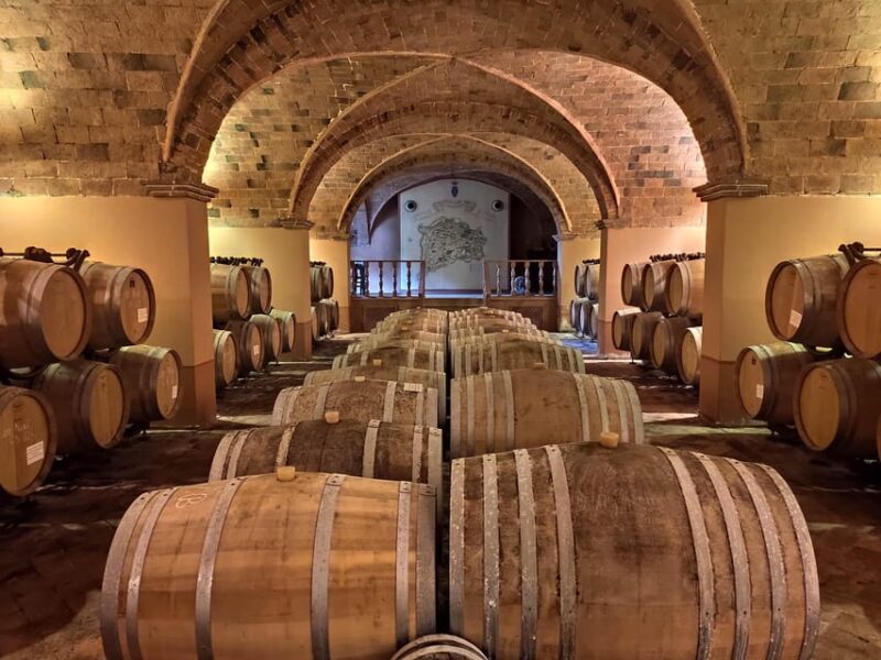 Wine Tasting in a Romantic Castle With Archaeologist Guide - Itinerary Highlights
