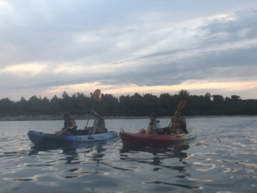 Wine Tasting Kayak Sunset Trip - Experience Highlights