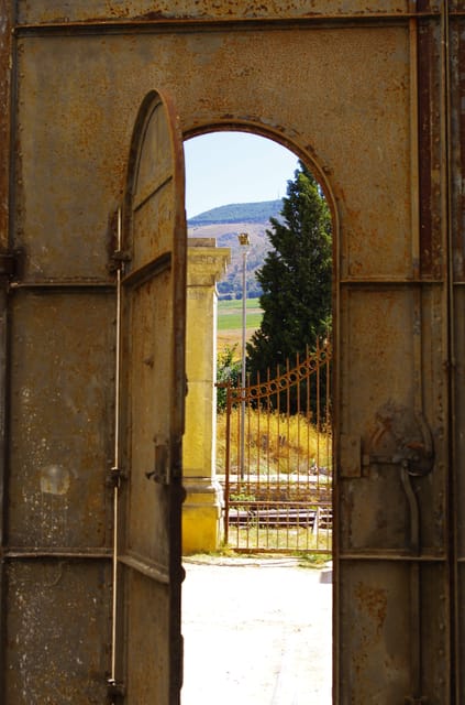 Wine Tasting Whit Painting Lesson in Baglio Florio - Immerse in Sicilian Wine Tasting Experience