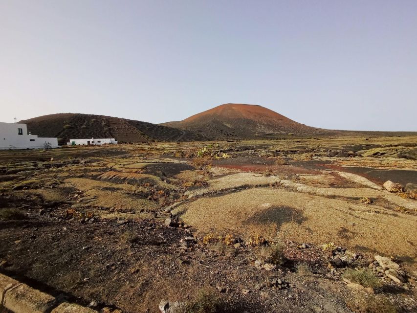 Wine Tour Discovering the Origins of Vineyards in Lanzarote - Booking Details