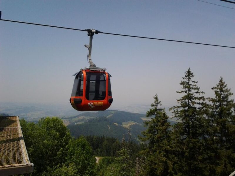 Winter Panorama Mount Pilatus: Small Group Tour From Basel - Itinerary Highlights