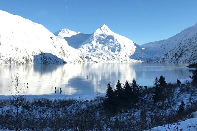Winter - Wildlife & Turnagain Arm Tour - Itinerary Highlights