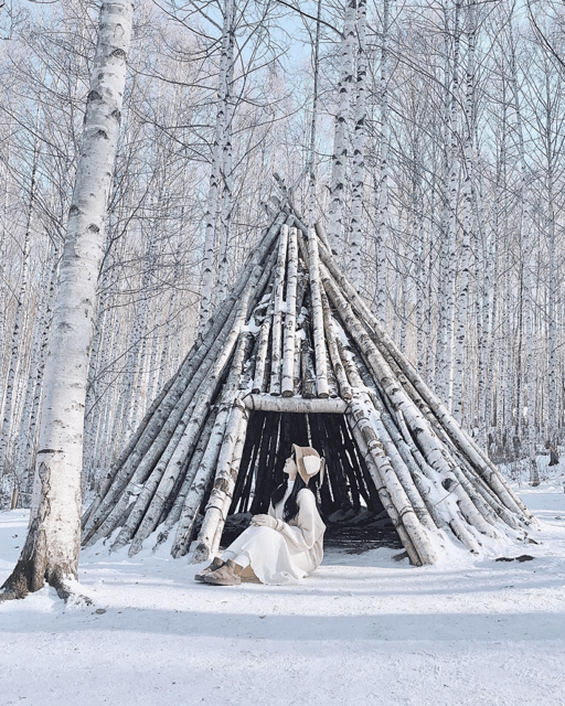 Wondae-ri Birch Forest and In-je Maebawi Icewall Day Tour - Free Cancellation and Payment